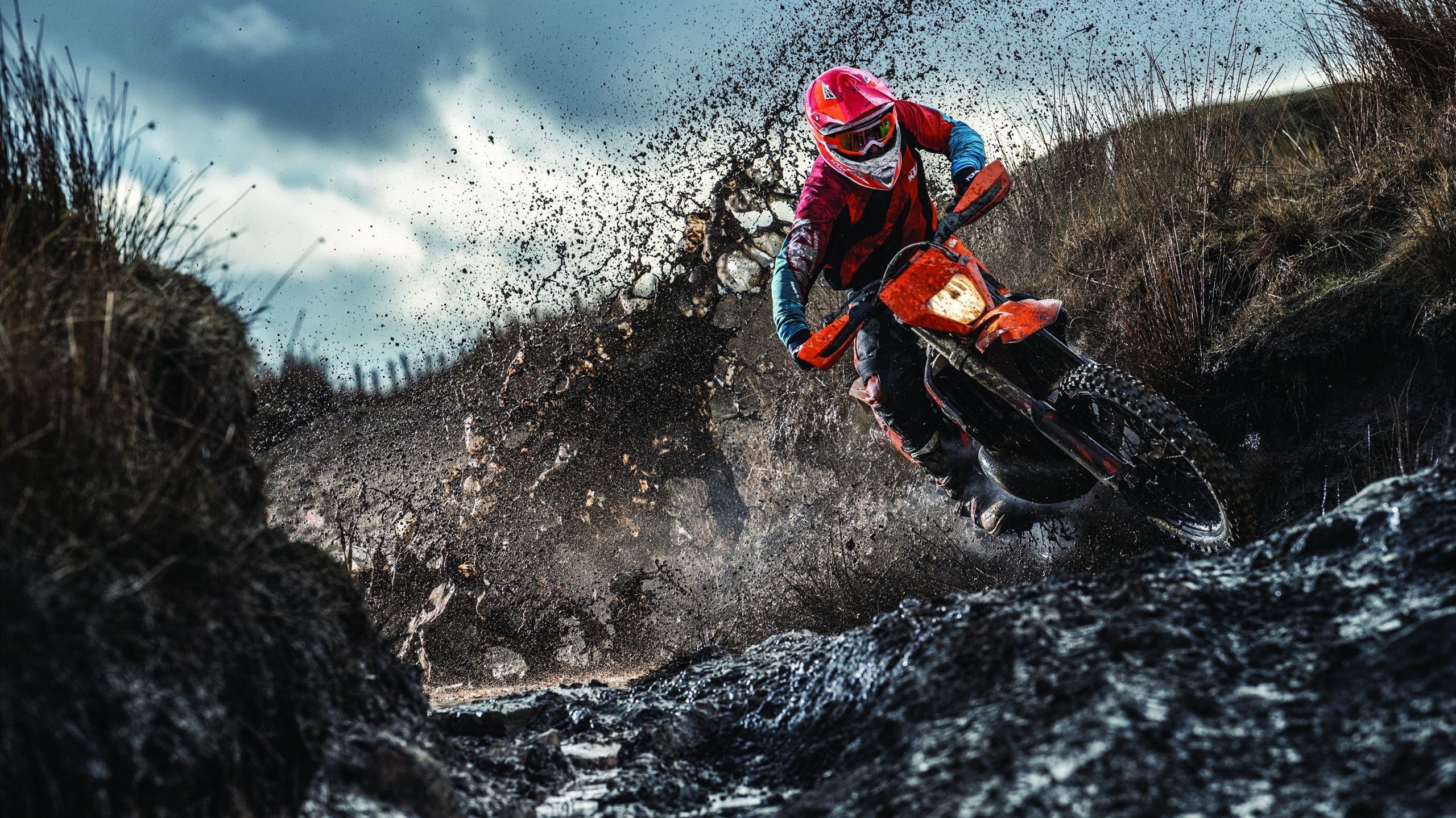 全国青少年“篮球+科普”创新大讲堂在南京精彩开启，普及体育科学知识